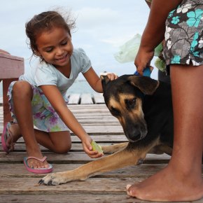 Children attempt to feed limes to their pet dog. The dog has a medical condition which is apparently helped by lime juice. Photo: Alex Washburn